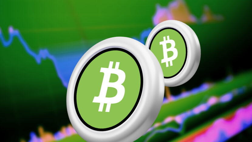 All About Bitcoin Cash and Its Functions