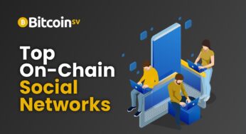 Top On-Chain Social Networks