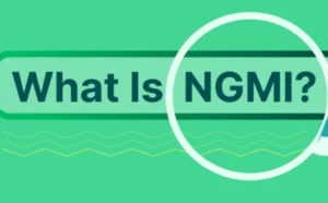 The Transformative Power of ngmi