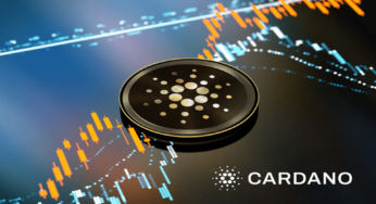 Why SOL and ADA Investors Are Buying Into the Pushd (PUSHD) Presale