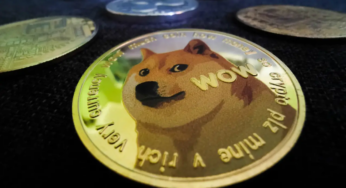Pushd Gained Over 13,000 Sign-ups, Dogecoin and Pepe Holders Rush to Buy in