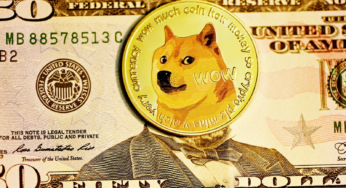 Where to Put My Money in 2024? Analyst Picks Pushd Over Dogecoin and Shiba Inu