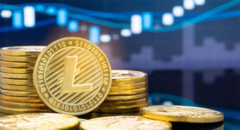 Pushd got over 16,000 sign-ups, Now Attracting Chainlink and Litecoin investors