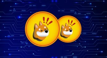 Bitcoin & Bonk Expert Tips the Web3 Lending Kelexo Presale as a ‘No-Brainer’