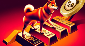 Pushd (PUSHD) Presale Sparks Big Excitement from Solana & Shiba Inu Coin Holders
