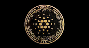 Leap Year Frenzy Sees Raffle Coin Mega Presale as ADA and XLM Join the Bandwagon, While BTC Hits $52K