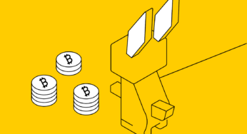 Bitcoin and Monero Soaring This Week, But Raboo Presale is Stealing All the Buzz!